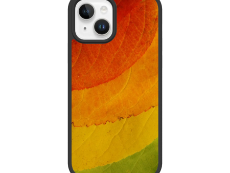 Autumn Bliss | Autumn Leaves | Custom MagSafe Case Design for Apple iPhone 12 Series Supply