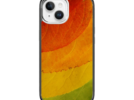 Autumn Bliss | Autumn Leaves | Custom MagSafe Case Design for Apple iPhone 15 Series Supply