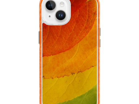 Autumn Bliss | Autumn Leaves | Custom MagSafe Case Design for Apple iPhone 14 Series Sale